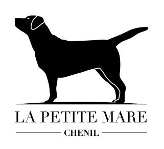 Accueil